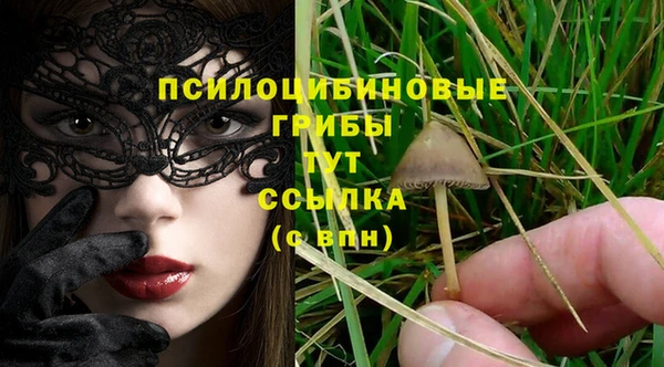 PSILOCYBIN Дмитриев