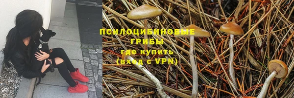 PSILOCYBIN Дмитриев