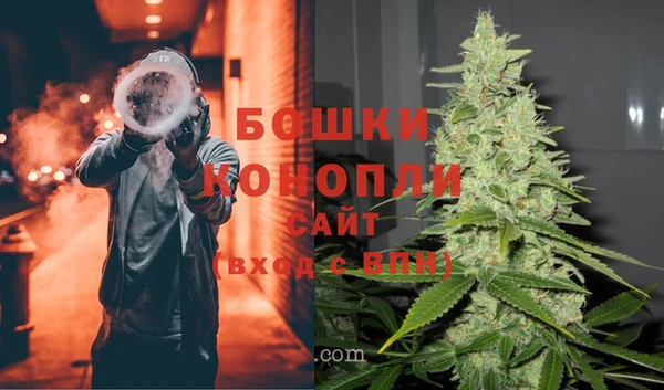 PSILOCYBIN Дмитриев