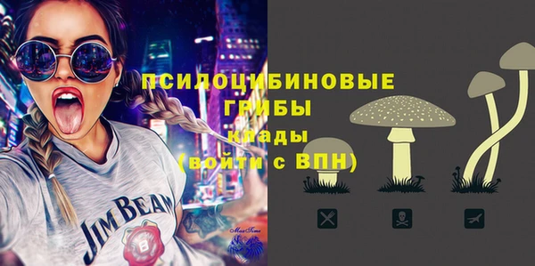 PSILOCYBIN Дмитриев