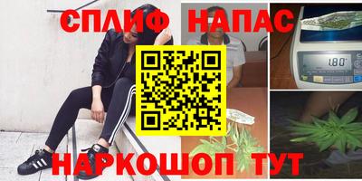 mdpv Владивосток