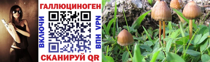 Галлюциногенные грибы прущие грибы  Киржач 
