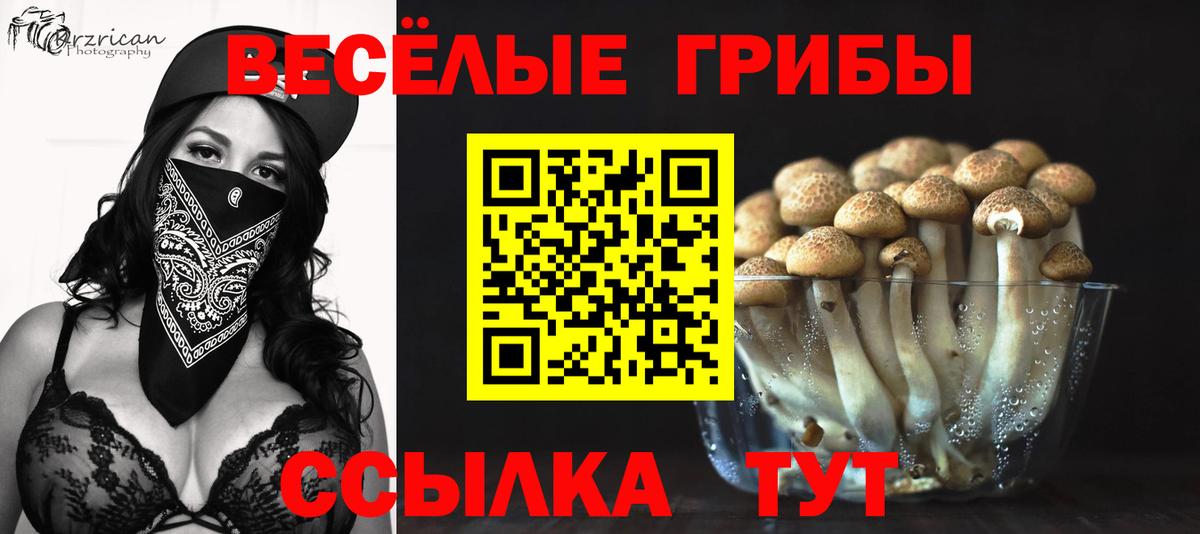 Псилоцибиновые грибы ЛСД Киржач