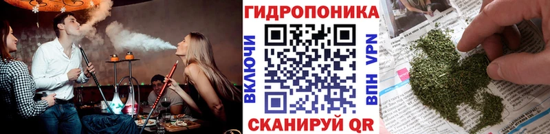 Каннабис сатива Киржач